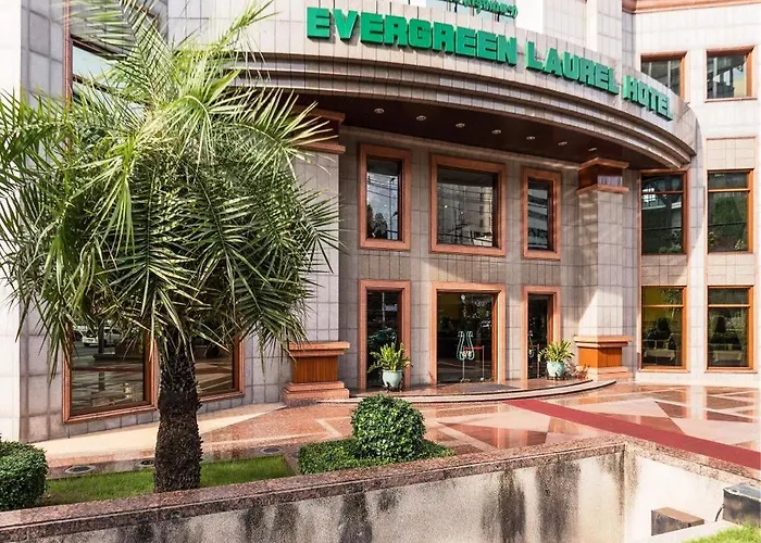 Evergreen Laurel 5*